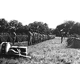 9th Cavalry stands at attention